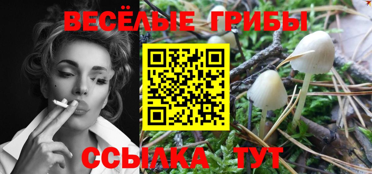 Обнинск  Псилоцибиновые грибы мухоморы  Вход с VPN 